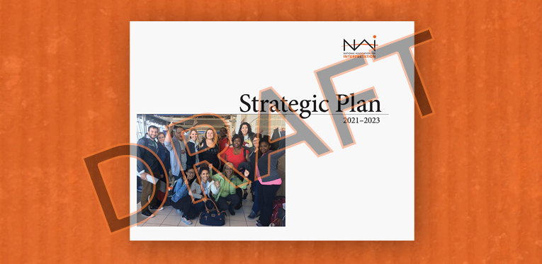 NAI 2021-23 Strategic Plan: Draft for member review